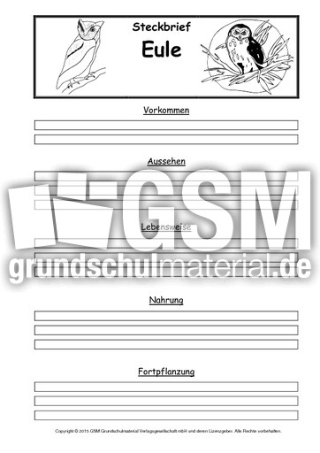 Steckbriefvorlage-Eule-2.pdf